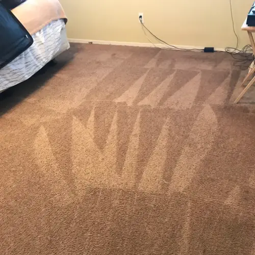 Cleaning Carpet in Residence