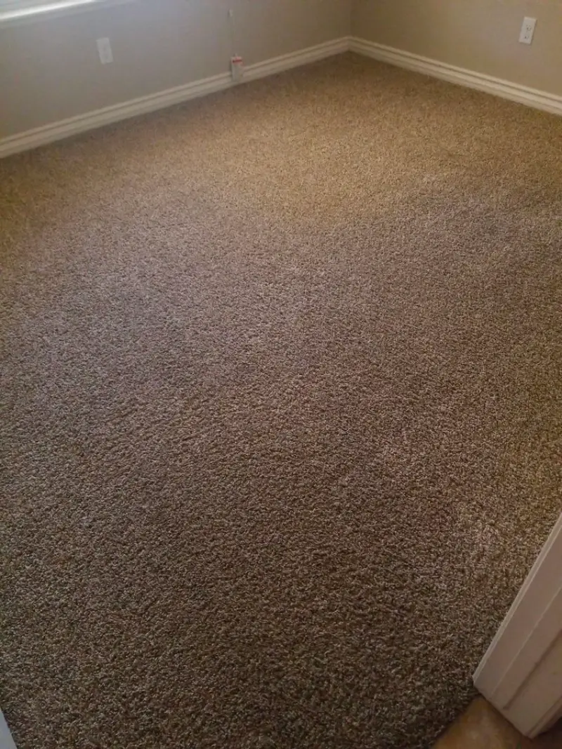 Carpet Cleaning Before
