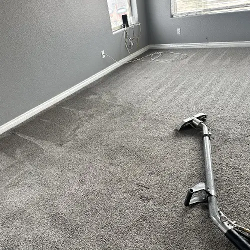 Carpet Cleaning in Las Vegas