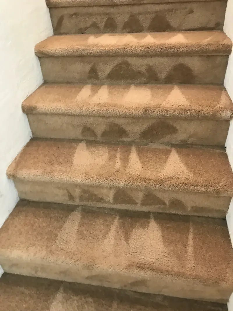 Stair Carpet Cleaning After
