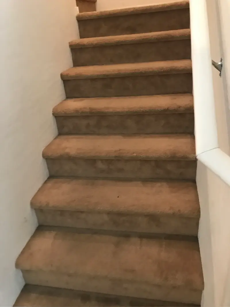 Stair Carpet Cleaning Before