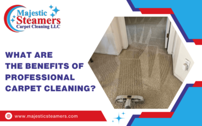 What Are The Benefits Of Professional Carpet Cleaning?