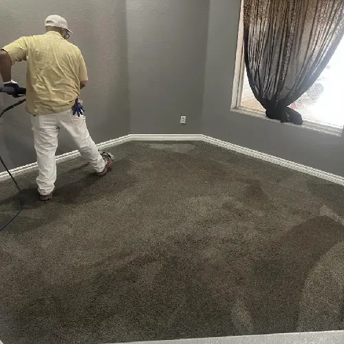A Person Cleaning Carpet